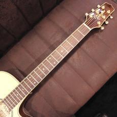 Takamine TSP138C N #62080432【薄型ボディ】_3