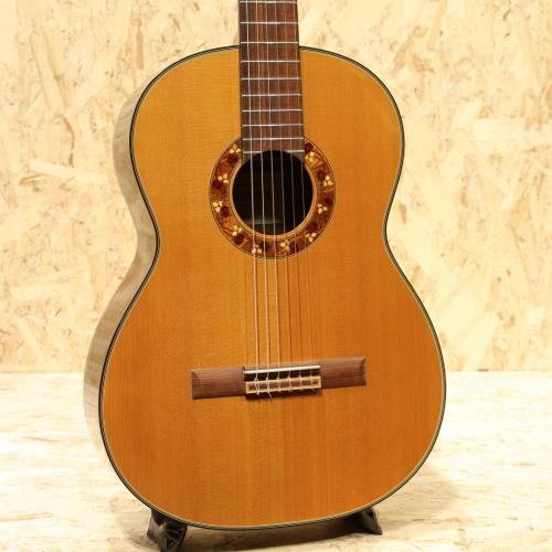 Takamine TGL1 2005