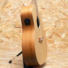 Cole Clark FL1EC-BSO 2020's_4