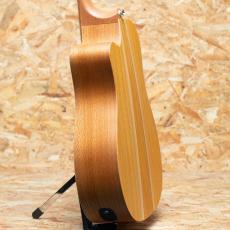 Cole Clark FL1EC-BSO 2020's_5