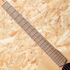 Cole Clark FL1EC-BSO 2020's_6