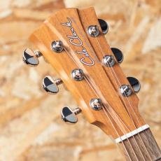 Cole Clark FL1EC-BSO 2020's_8