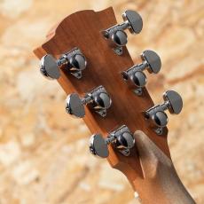 Cole Clark FL1EC-BSO 2020's_9