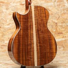 Taylor Grand Auditorium Custom -MIKI 200th Anniversary-_2