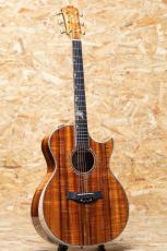 Taylor Grand Auditorium Custom -MIKI 200th Anniversary-_3
