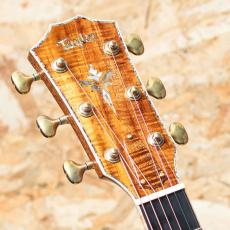 Taylor Grand Auditorium Custom -MIKI 200th Anniversary-_8