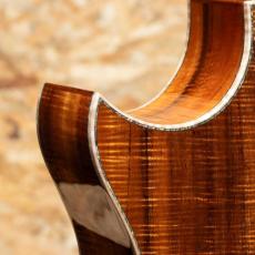 Taylor Grand Auditorium Custom -MIKI 200th Anniversary-_11