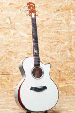Taylor Custom GA Trans White_3