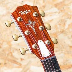 Taylor Custom GA Trans White_8