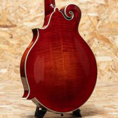 Eastman MDA815 2022_2