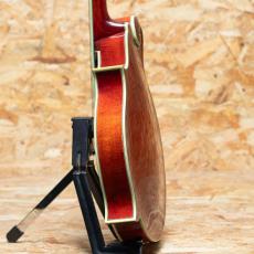 Eastman MDA815 2022_5