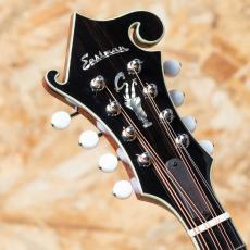 Eastman MDA815 2022_8