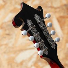 Eastman MDA815 2022_9