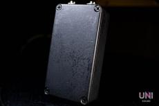 Fortin Amplification GRIND_3