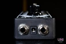 Fortin Amplification GRIND_6