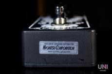 Fortin Amplification GRIND_7