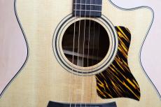 Taylor 【試奏動画あり・定番モデル】314ce  V-Class #1209184070【送料当社負担・最大48回分割無金利】_5