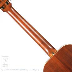 Maton EMD6 (Mini Maton Diesel Special)【48回無金利対象品】_6