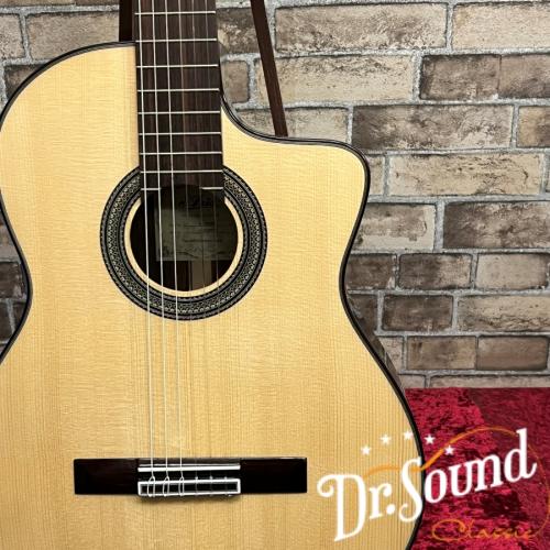 ARIA アリア A-100CWE 【エレガット】