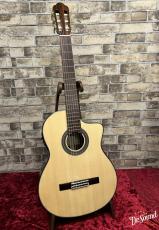 ARIA アリア A-100CWE 【エレガット】_2