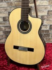 ARIA アリア A-100CWE 【エレガット】_3