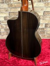 ARIA アリア A-100CWE 【エレガット】_4