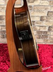 ARIA アリア A-100CWE 【エレガット】_6