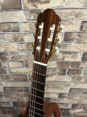 ARIA アリア A-100CWE 【エレガット】_7