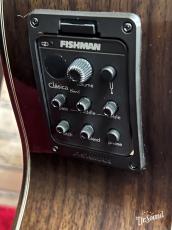 ARIA アリア A-100CWE 【エレガット】_9