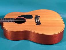 ZEMAITIS BASIC MODEL(STANDARD MODEL)_4