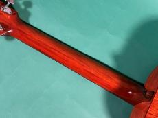 ZEMAITIS BASIC MODEL(STANDARD MODEL)_8