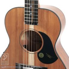 Maton EMBW6 (Mini Maton)【48回無金利対象品】_11