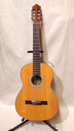 Senior European Classic Guitar 4/4