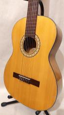 Senior European Classic Guitar 4/4_4