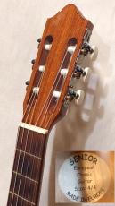 Senior European Classic Guitar 4/4_5