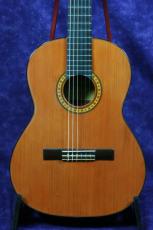 ＰＥＰＥ PS-53(530mm)　杉/サペリ_2