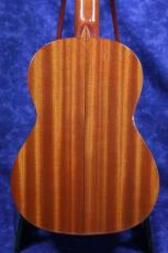 ＰＥＰＥ PS-53(530mm)　杉/サペリ_3