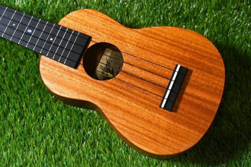 Millar SLPA-E Soprano Longneck【S/N 085】