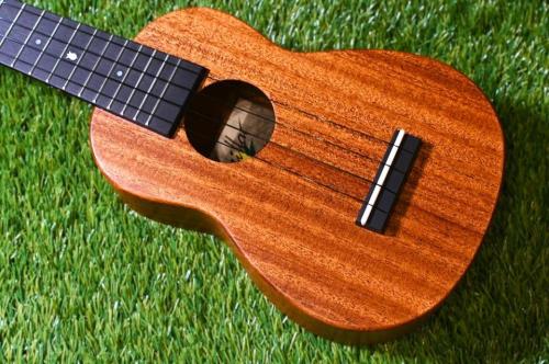 Millar SLPA-E Soprano Longneck【S/N 086】