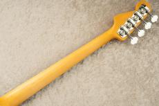 Provision VJB-PS "Light Weight Ash" -White Blonde- 【ハカランダ指板】_7