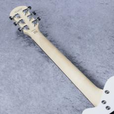 Pignose Limited Edition PGG-JAIL ROCK 【限定モデルが即納可能!!】_8