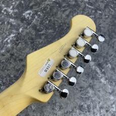 FUJIGEN Basic Classic Series BCTE100RBD-SWH ~Snow White~ #H240075【3.41kg】_10