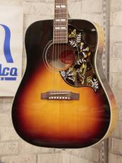 Gibson 【2025年製】Hummingbird Maple Long Scale #22465020【Greatest Hits Vo.2】