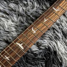 Paul Reed Smith [PRS] SE CE24 Standard Stoptail Satin Charcoal【2026 NEWモデル】【約2.89kg】_5