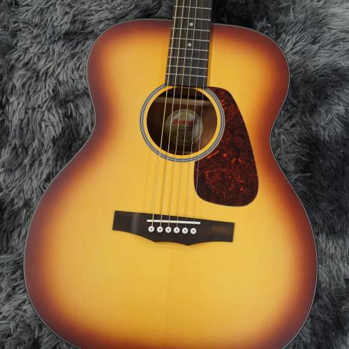 Morris F-1 2025 Renewed Series BS -Performers Edition-【アクセサリーセットサービス!】