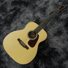 Morris F-1 2025 Renewed Series NAT -Performers Edition-【アクセサリーセットサービス!】_2