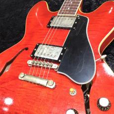 g7 Special g7-335 Dot Aged / Cherry_2