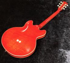 g7 Special g7-335 Dot Aged / Cherry_5