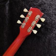 g7 Special g7-335 Dot Aged / Cherry_7