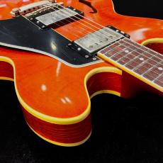 g7 Special g7-335 Dot Aged / Cherry_9